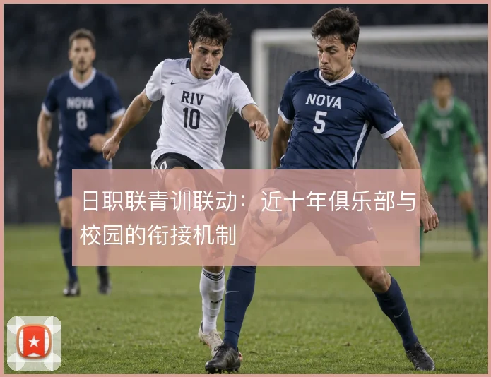 日职联青训联动:近十年俱乐部与校园的衔接机制