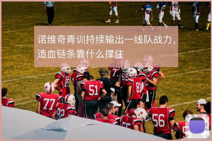 诺维奇青训持续输出一线队战力，造血链条靠什么撑住